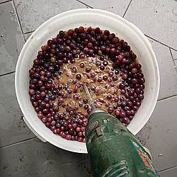 Podstawowe narzędzia winiarskie – fermentacja i przygotowanie moszczu
